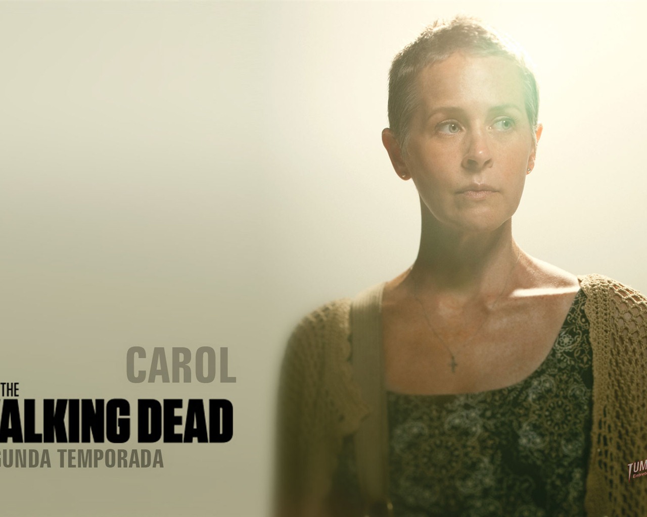 The Walking Dead обои HD #21 - 1280x1024