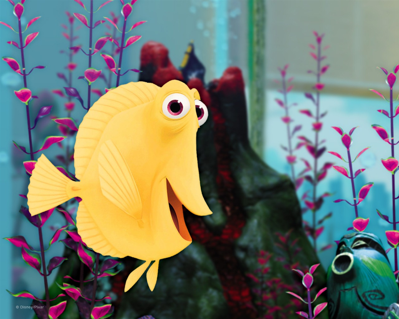 Buscando a Nemo 3D 2012 HD fondos de pantalla #4 - 1280x1024