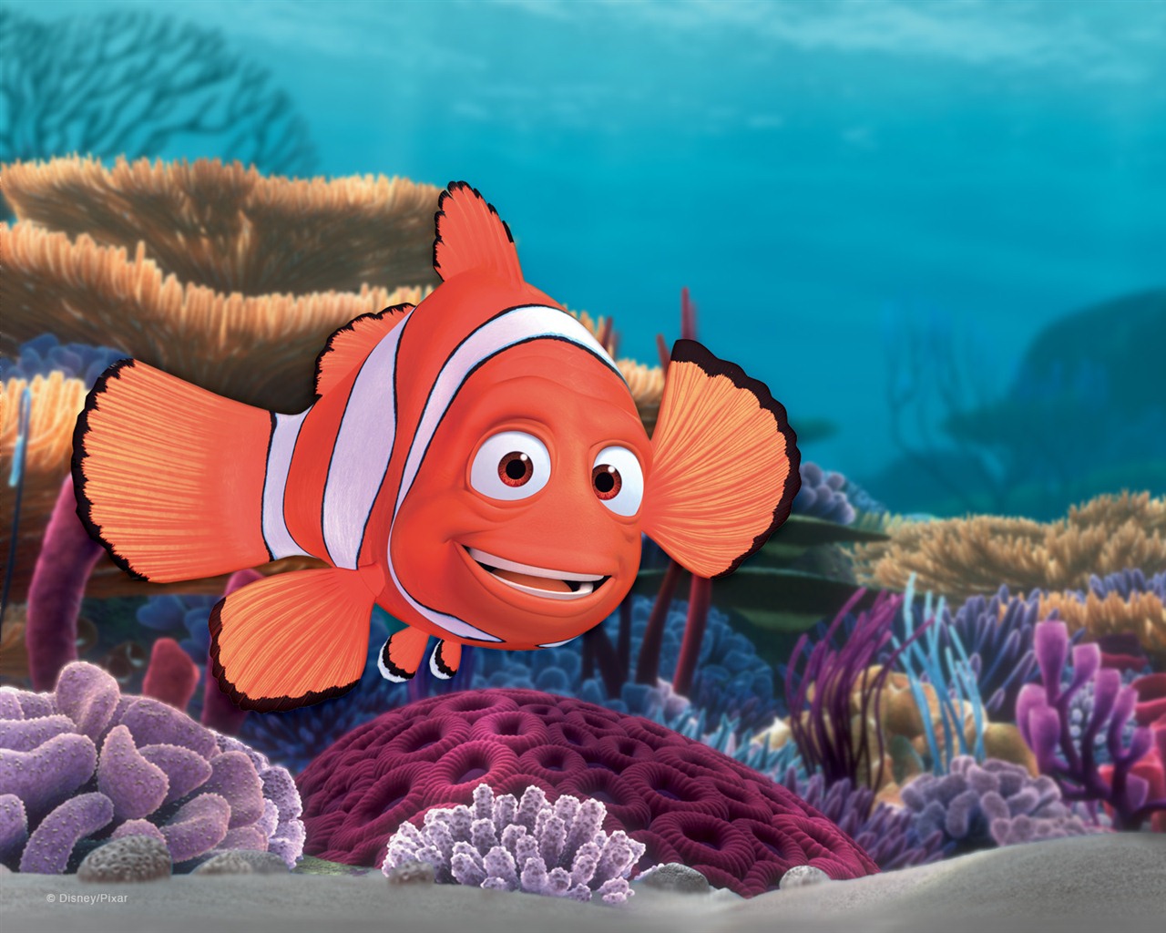 Buscando a Nemo 3D 2012 HD fondos de pantalla #18 - 1280x1024