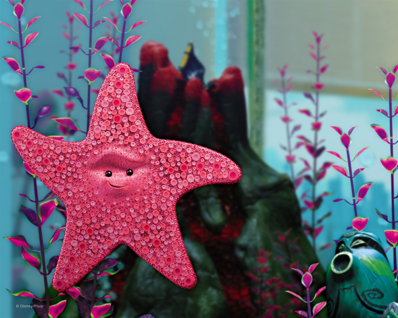 Finding Nemo 3D 海底总动员 3D 2012高清壁纸20 - 1280x1024