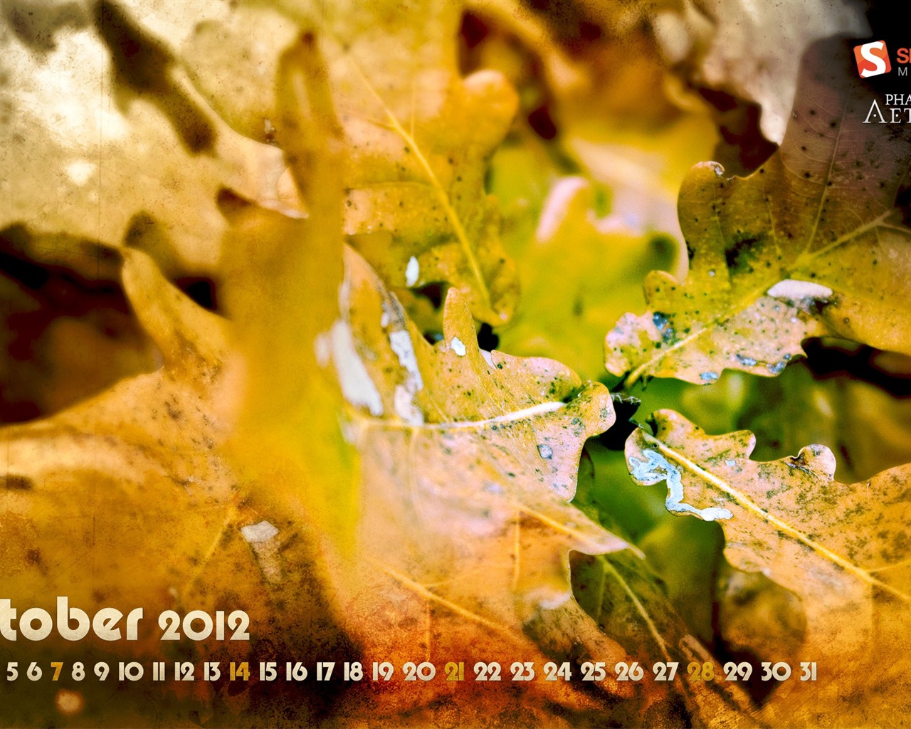 Октябрь 2012 Календарь обои (1) #5 - 1280x1024