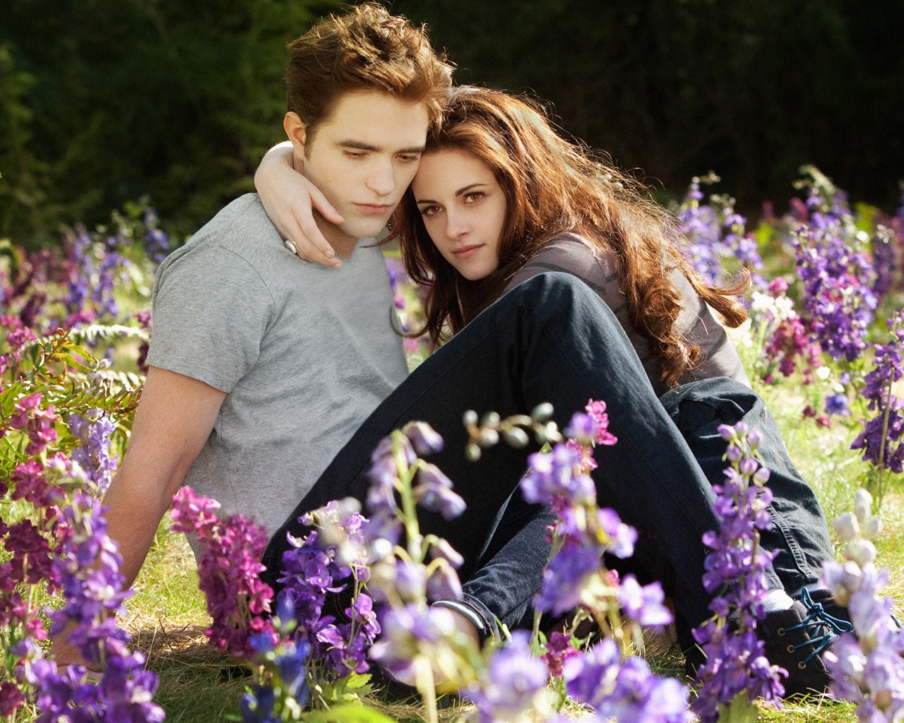 The Twilight Saga: Breaking Dawn fonds d'écran HD #4 - 1280x1024