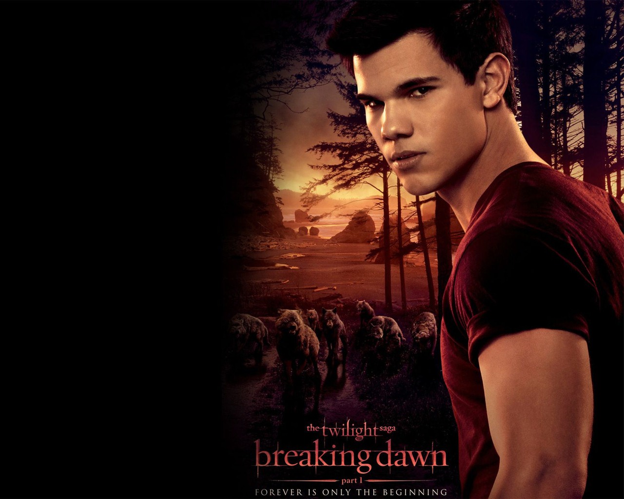 The Twilight Saga: Breaking Dawn fondos de pantalla HD #29 - 1280x1024