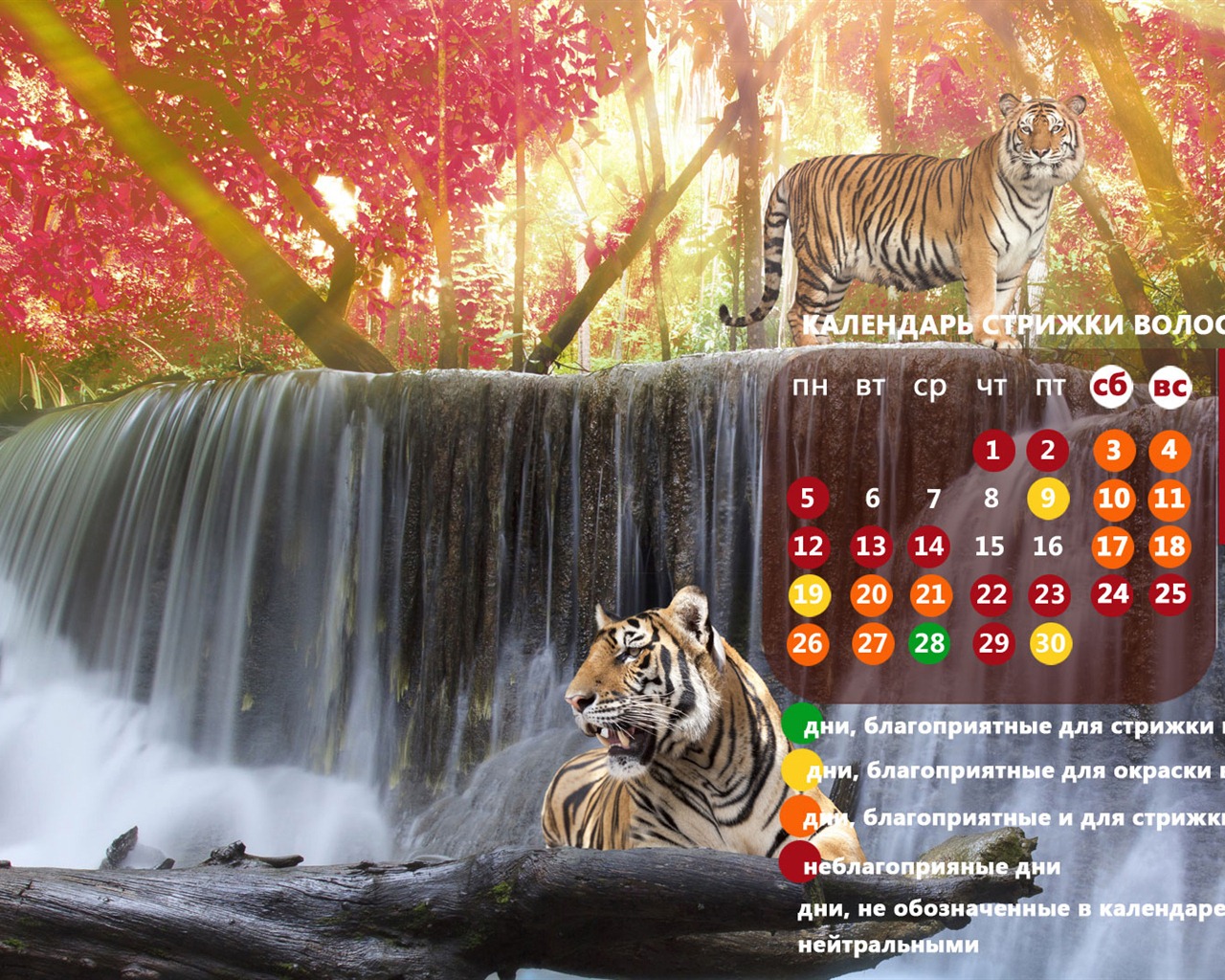 Novembre 2012 Calendar Wallpaper (2) #18 - 1280x1024