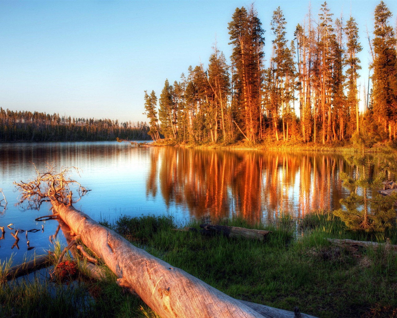 호수, 바다, 나무, 숲, 산, 아름다운 풍경을 배경 화면 #1 - 1280x1024