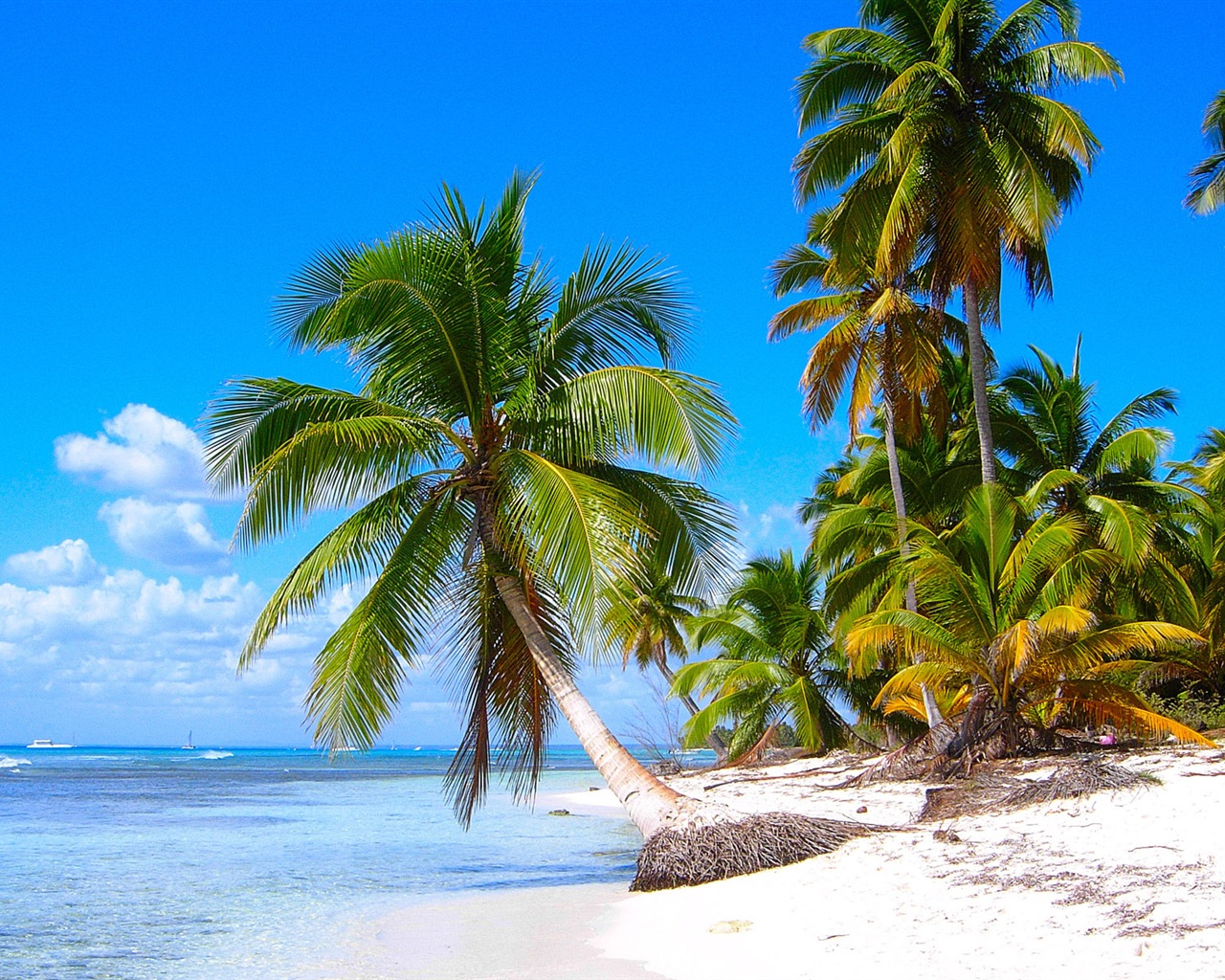 Windows 8: Fonds d'écran Shores Caraïbes #2 - 1280x1024
