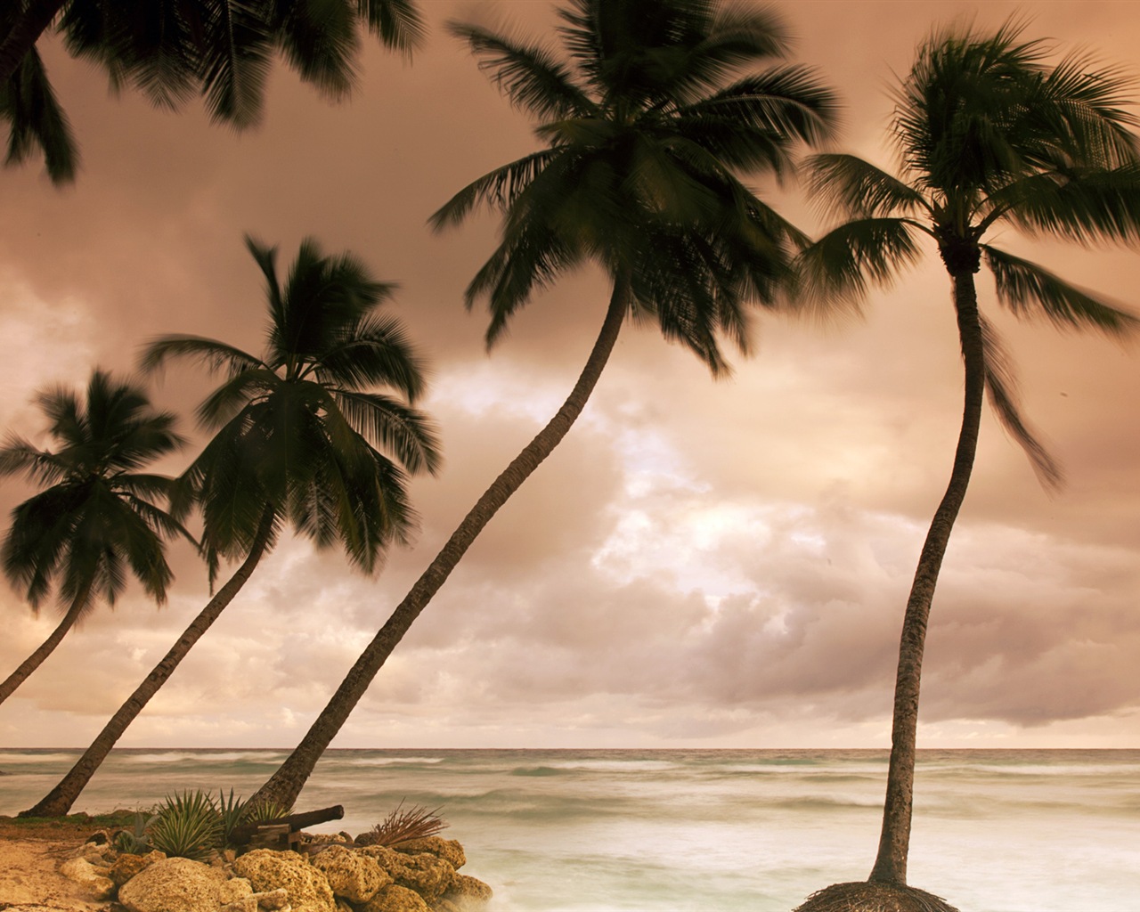 Windows 8 壁纸：加勒比海滨7 - 1280x1024