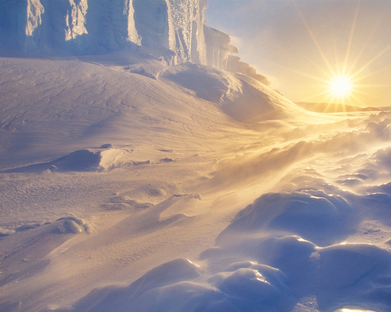 Windowsの8壁紙：南極、雪の風景、南極のペンギン #9 - 1280x1024