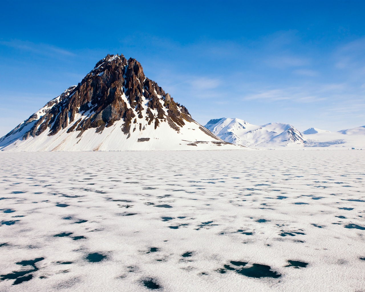 윈도우 8 배경 화면 : 북극의 자연 생태 경관, 북극 동물 #1 - 1280x1024