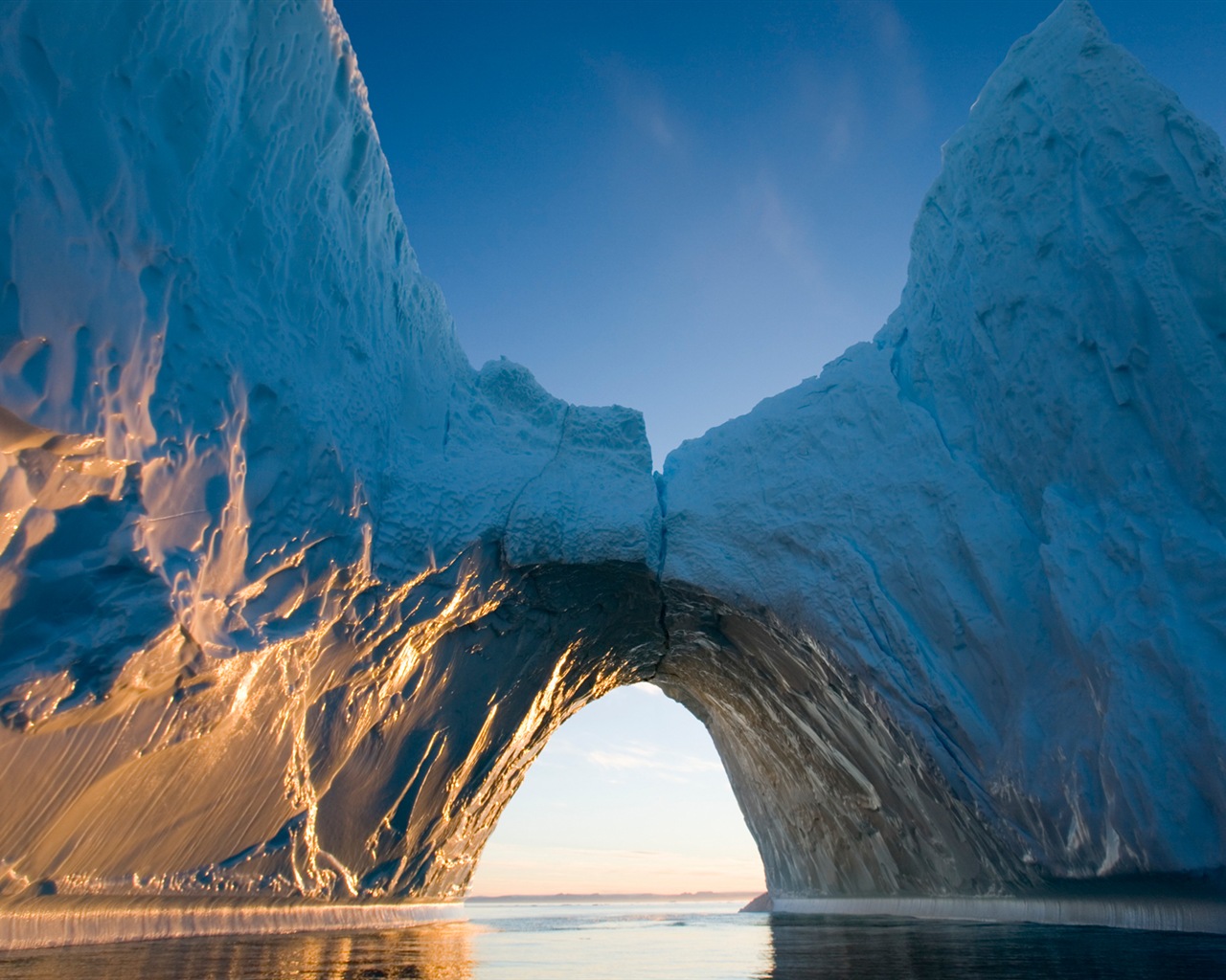 윈도우 8 배경 화면 : 북극의 자연 생태 경관, 북극 동물 #3 - 1280x1024