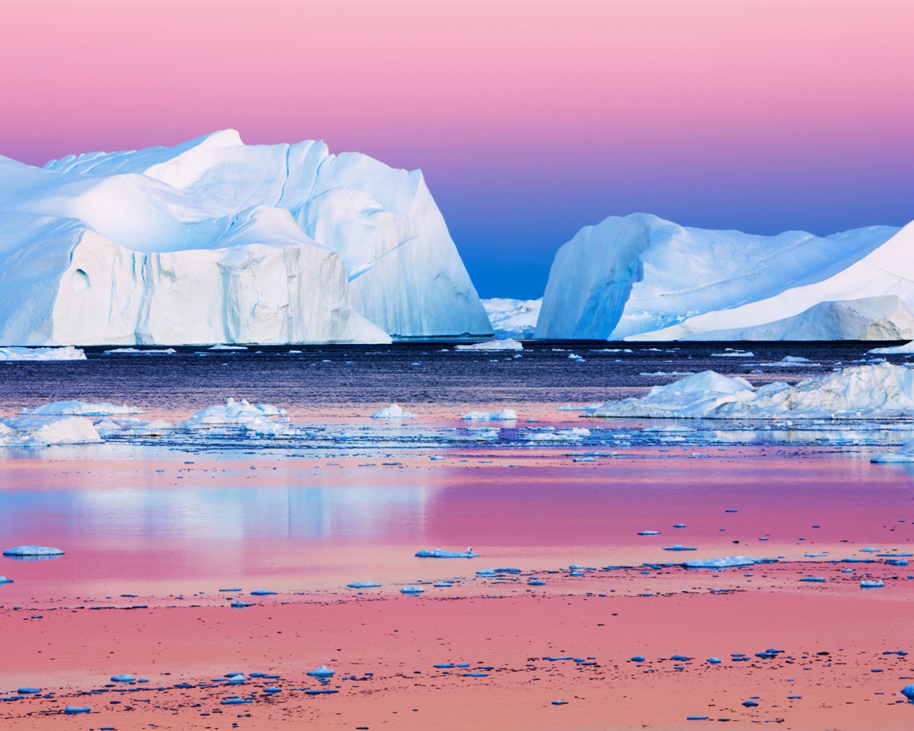 윈도우 8 배경 화면 : 북극의 자연 생태 경관, 북극 동물 #7 - 1280x1024