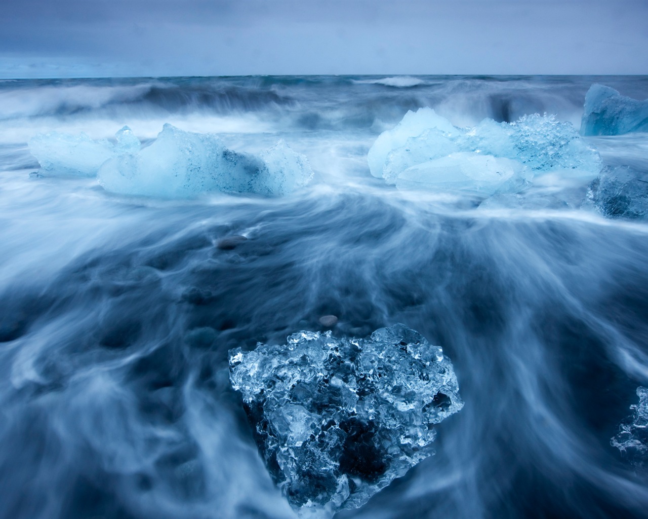 Windows 8 na plochu: Arctic, příroda ekologické krajiny, polární zvířata #9 - 1280x1024