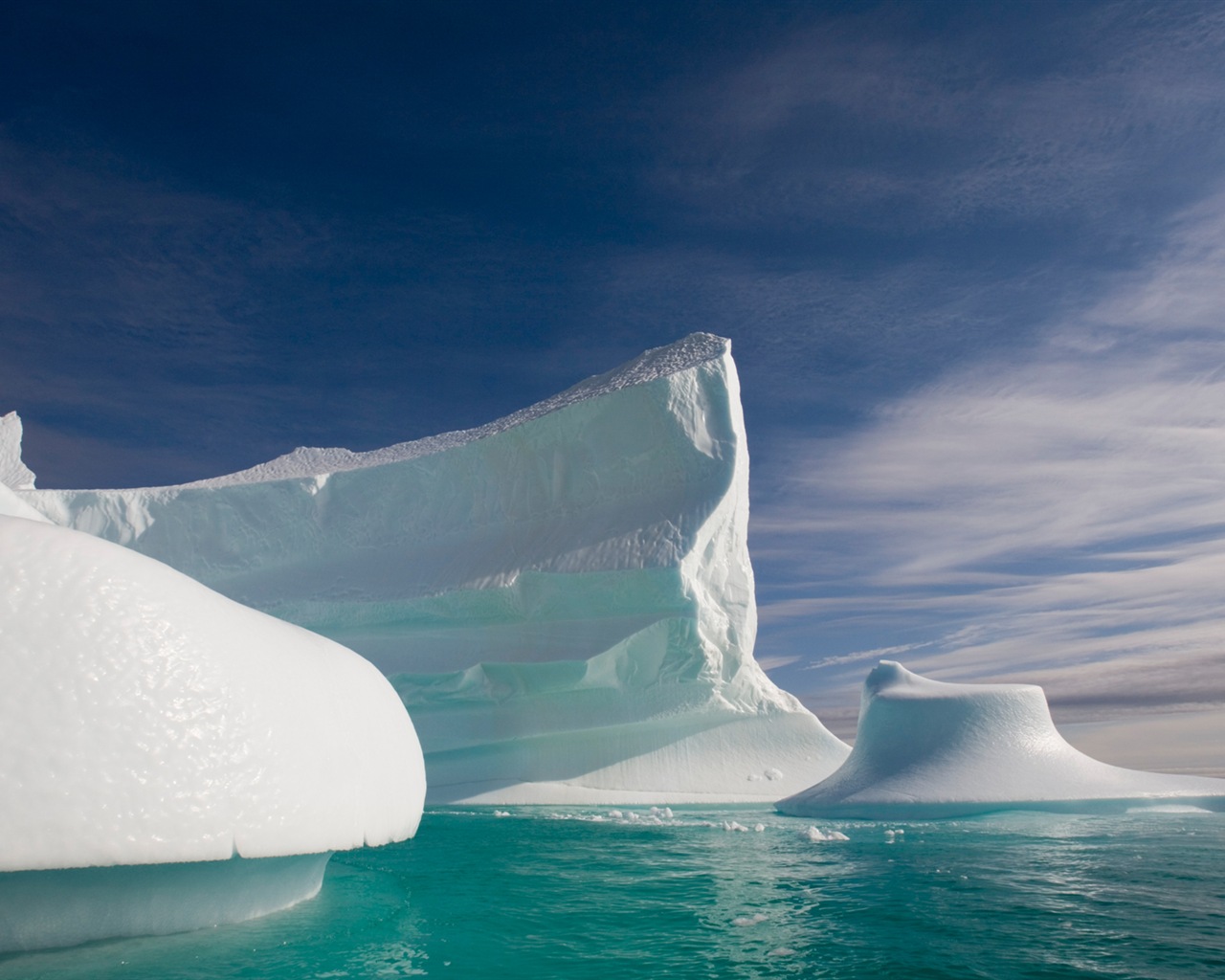 Windows 8 壁纸：北极圈，自然生态风景，北极动物14 - 1280x1024