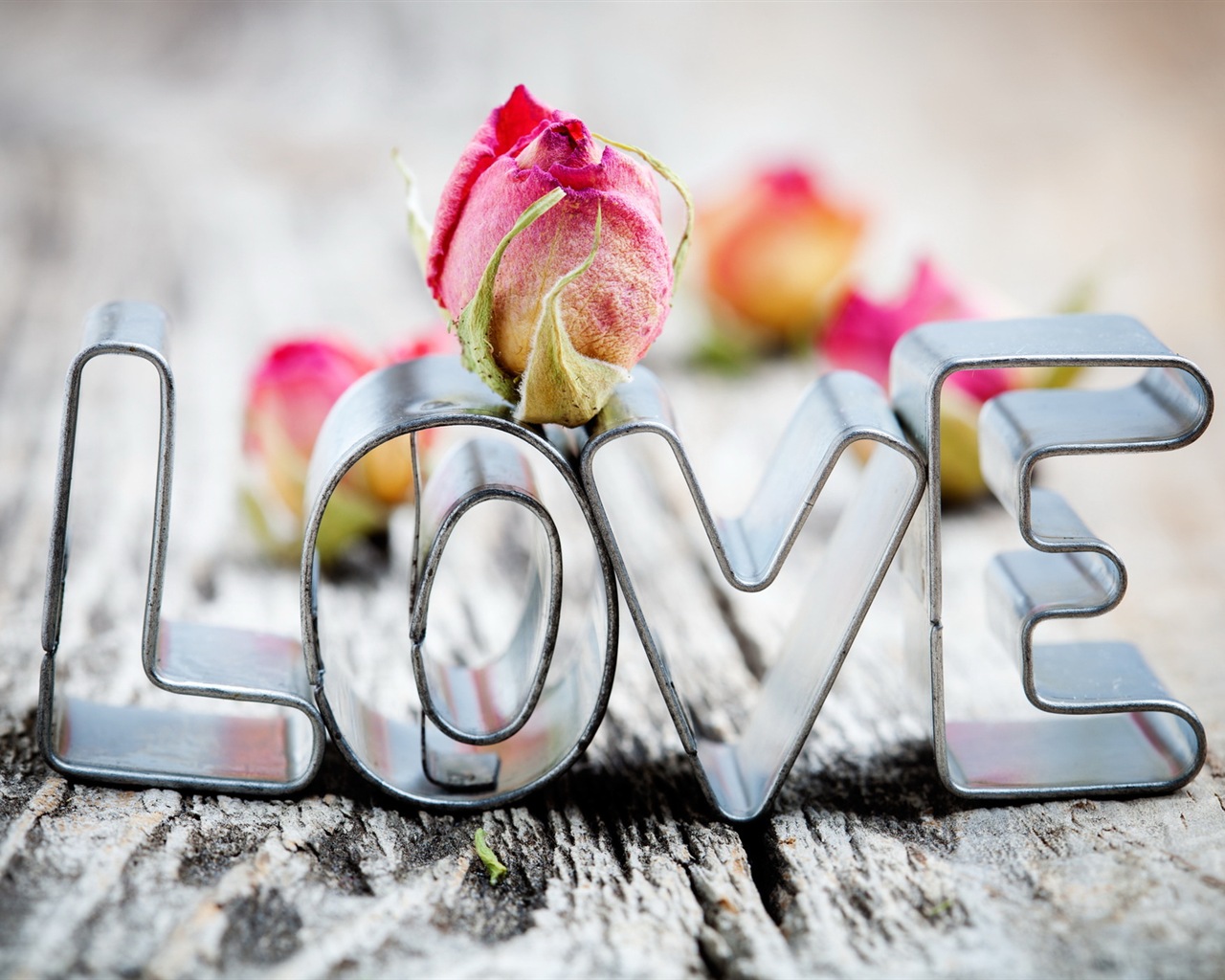 Teplé a romantické Valentýna HD Tapety na plochu #1 - 1280x1024