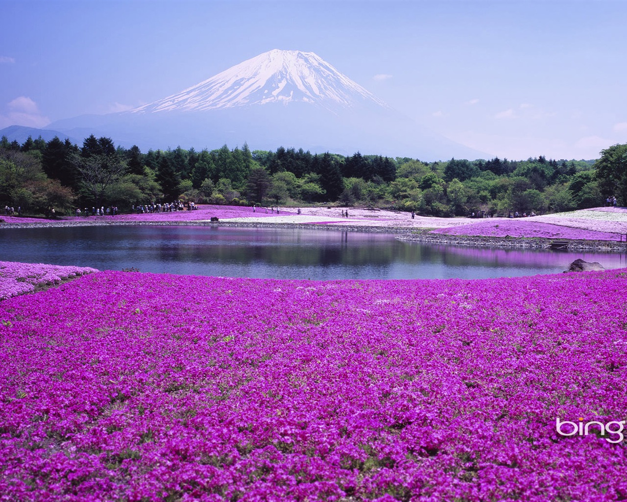 Bing 微软必应高清壁纸：日本风景主题壁纸11 - 1280x1024