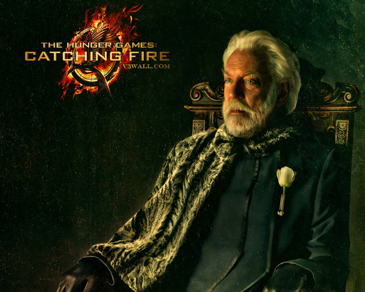 The Hunger Games: Catching Fire 饥饿游戏2：星火燎原 高清壁纸3 - 1280x1024