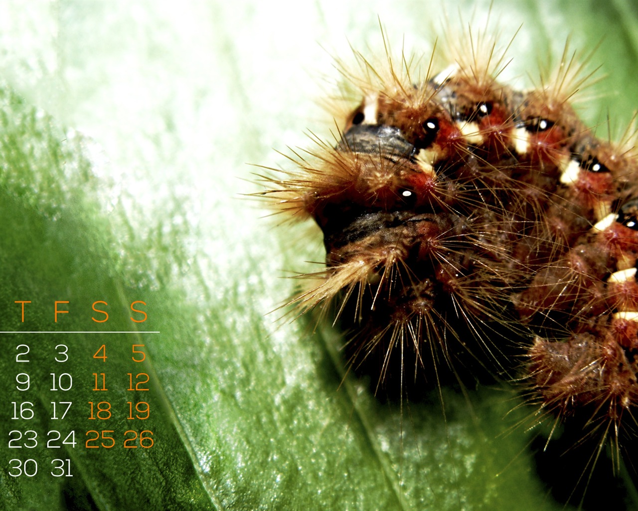 May 2013 calendar wallpaper (1) #1 - 1280x1024