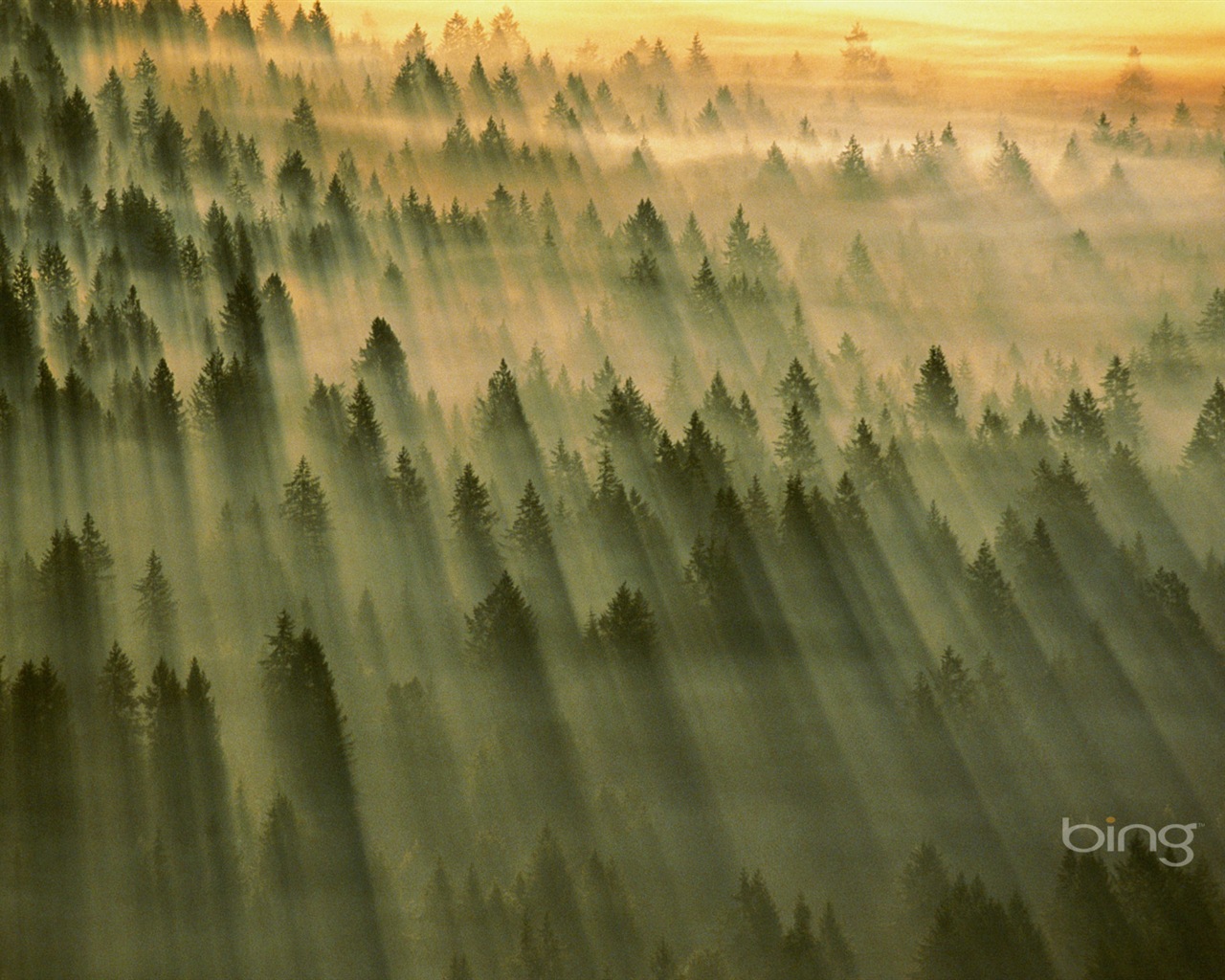 2013 Bing official theme HD wallpapers #26 - 1280x1024