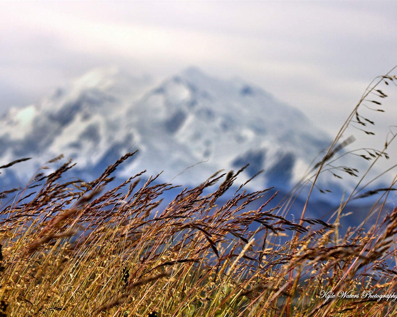 윈도우 8 테마 배경 화면 : 알래스카 풍경 #15 - 1280x1024