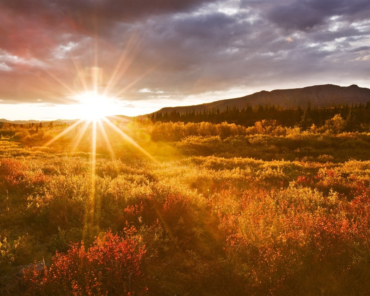 Denali National Park HD landscape wallpapers #3 - 1280x1024