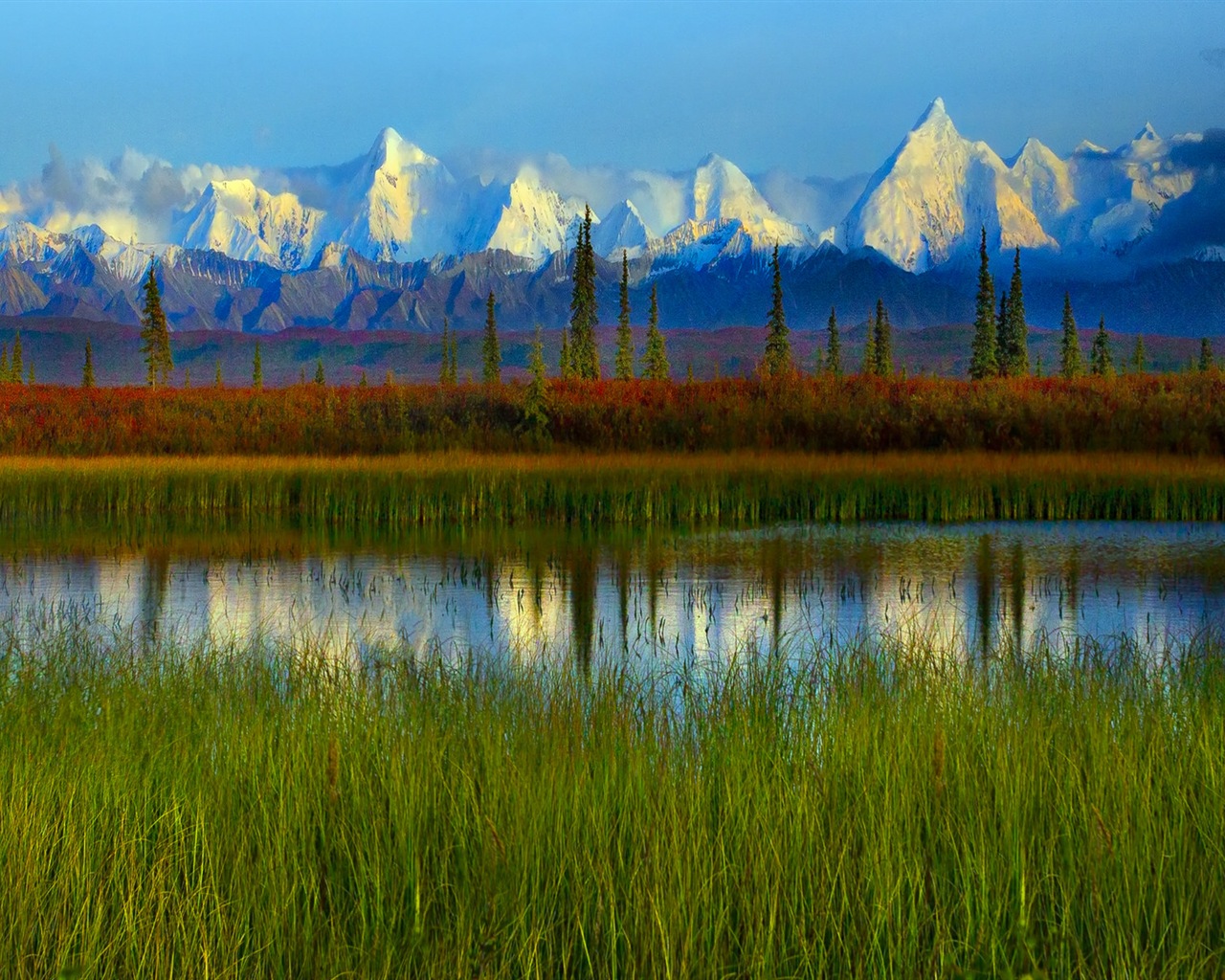 Denali National Park Landscape Wallpapers HD #14 - 1280x1024