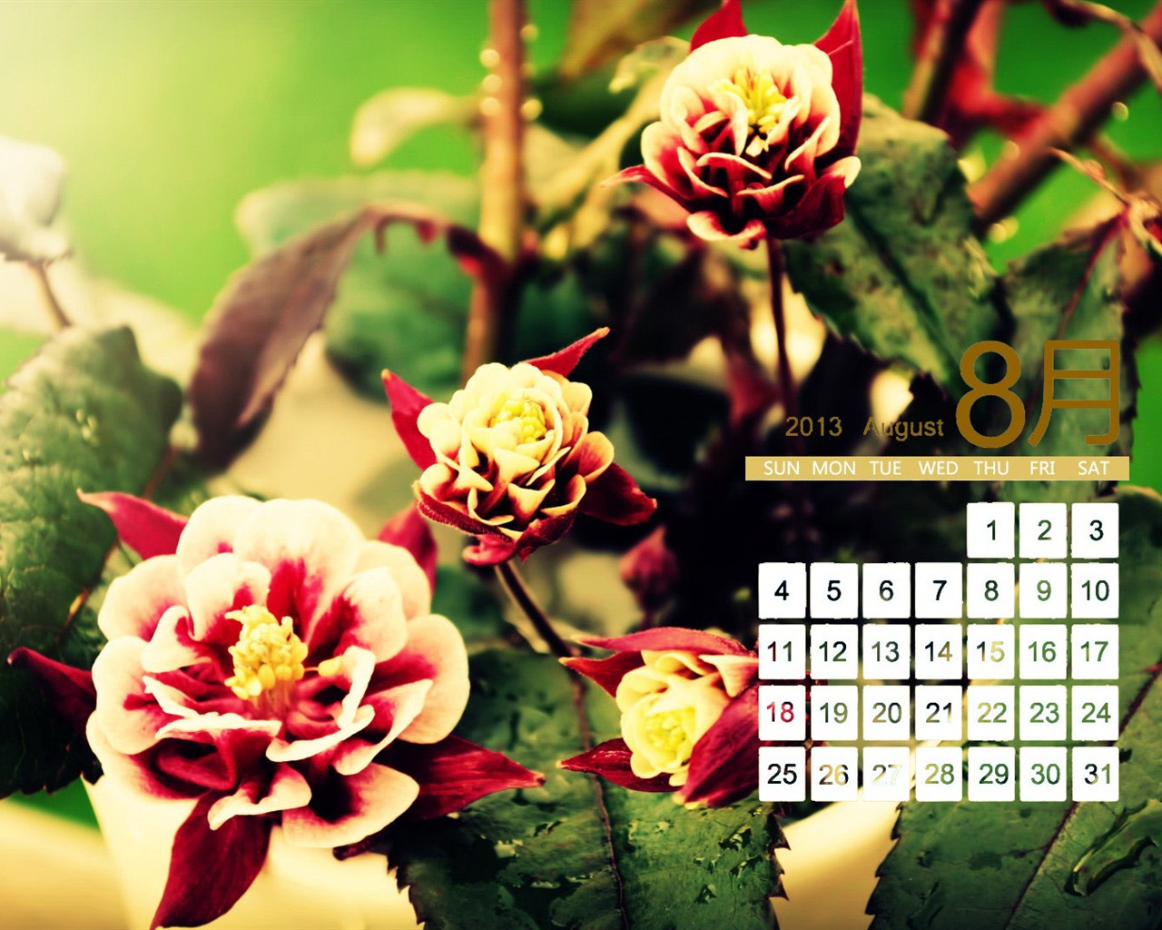 08 2013 calendario fondo de pantalla (1) #18 - 1280x1024