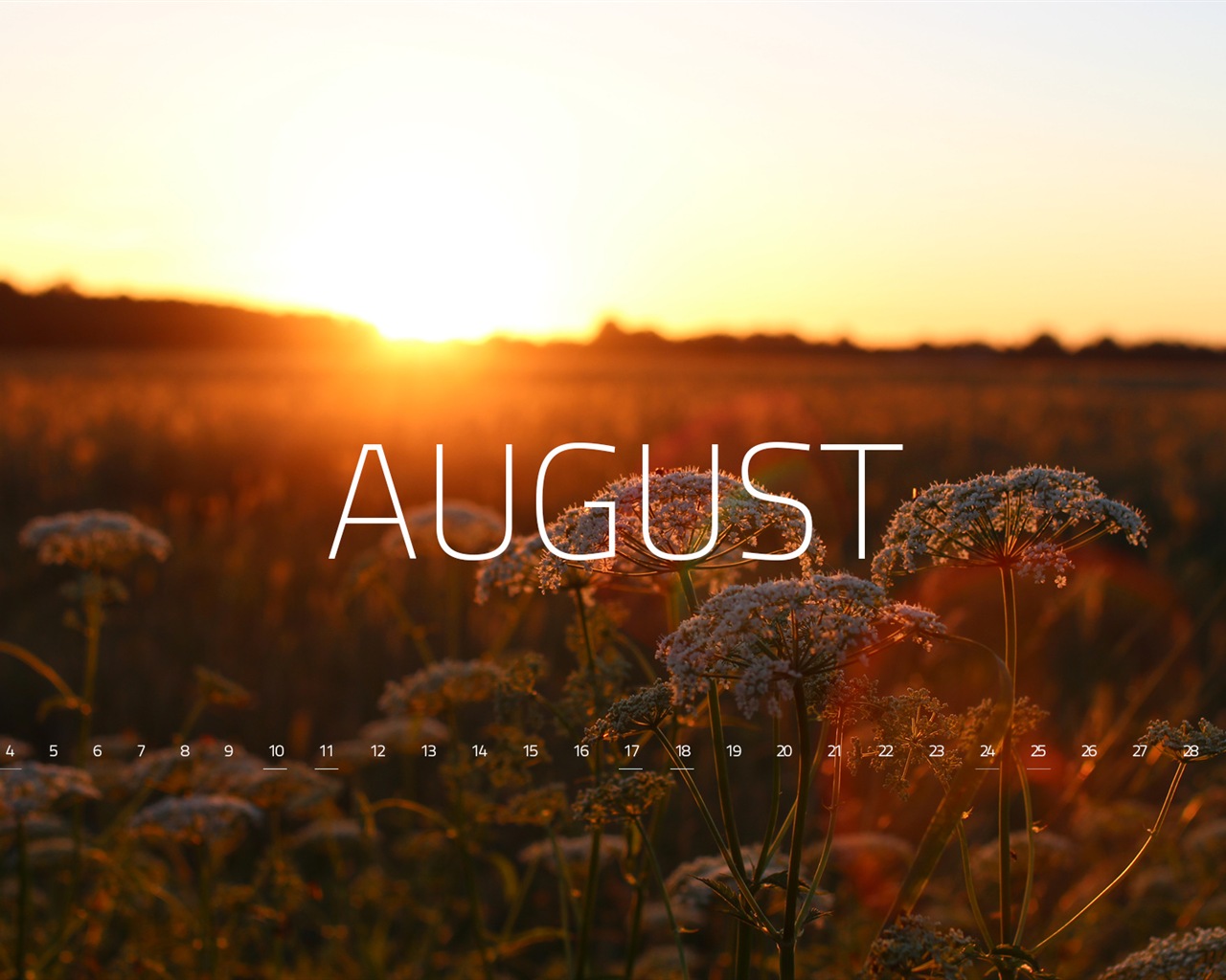 Август 2013 календарь обои (2) #2 - 1280x1024