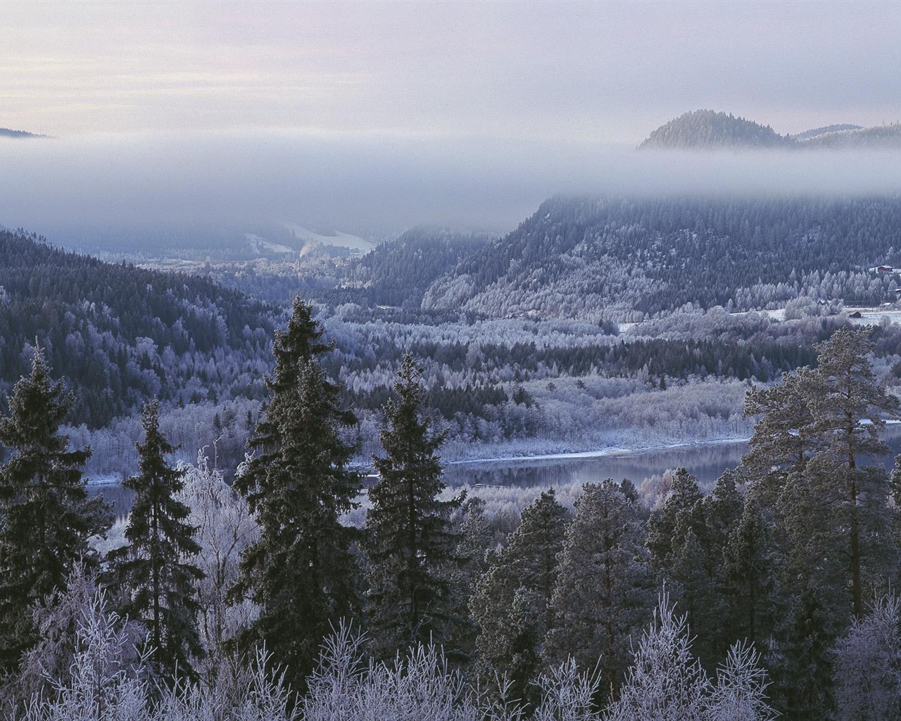 스웨덴 사계절 자연의 아름다움 HD 배경 화면 #17 - 1280x1024