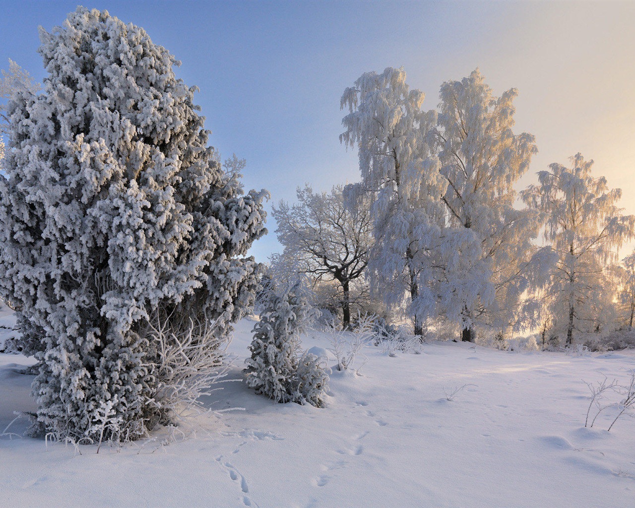 Švédsko sezón přírodní krásy HD tapety na plochu #19 - 1280x1024