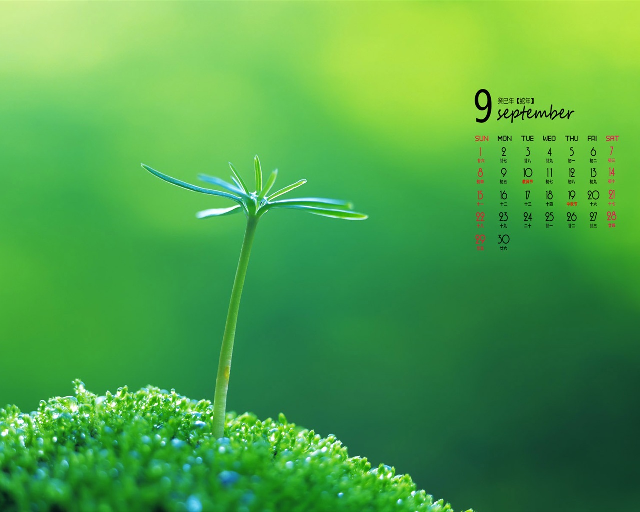 09 2013 Calendar fondo de pantalla (1) #5 - 1280x1024