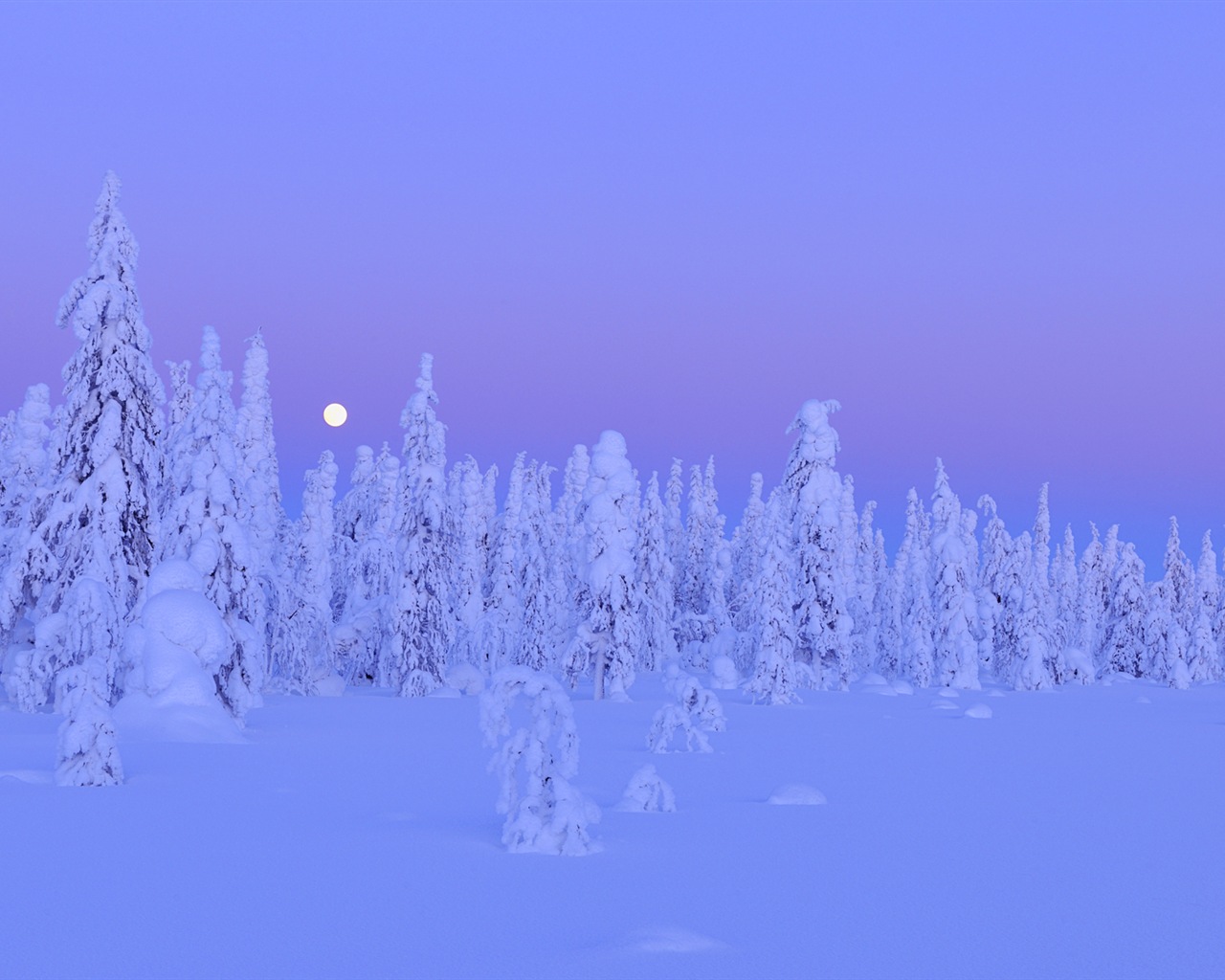 Windows 8 主题高清壁纸：冬季雪的夜景12 - 1280x1024