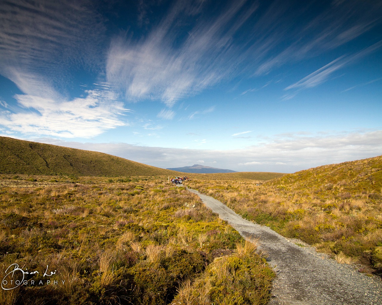 Новая Зеландия North Island красивые пейзажи, Windows 8 тема обои #4 - 1280x1024