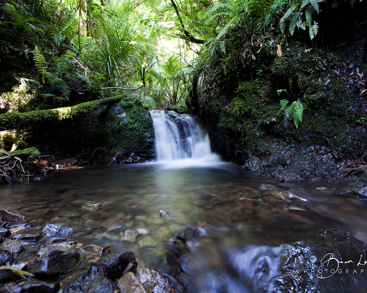 뉴질랜드 북섬의 아름다운 풍경, 윈도우 8 테마 배경 화면 #8 - 1280x1024