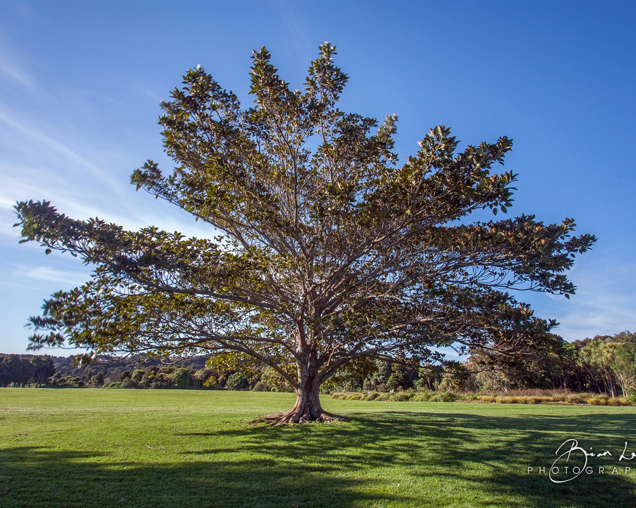 뉴질랜드 북섬의 아름다운 풍경, 윈도우 8 테마 배경 화면 #10 - 1280x1024