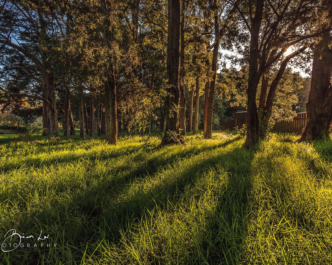 뉴질랜드 북섬의 아름다운 풍경, 윈도우 8 테마 배경 화면 #13 - 1280x1024