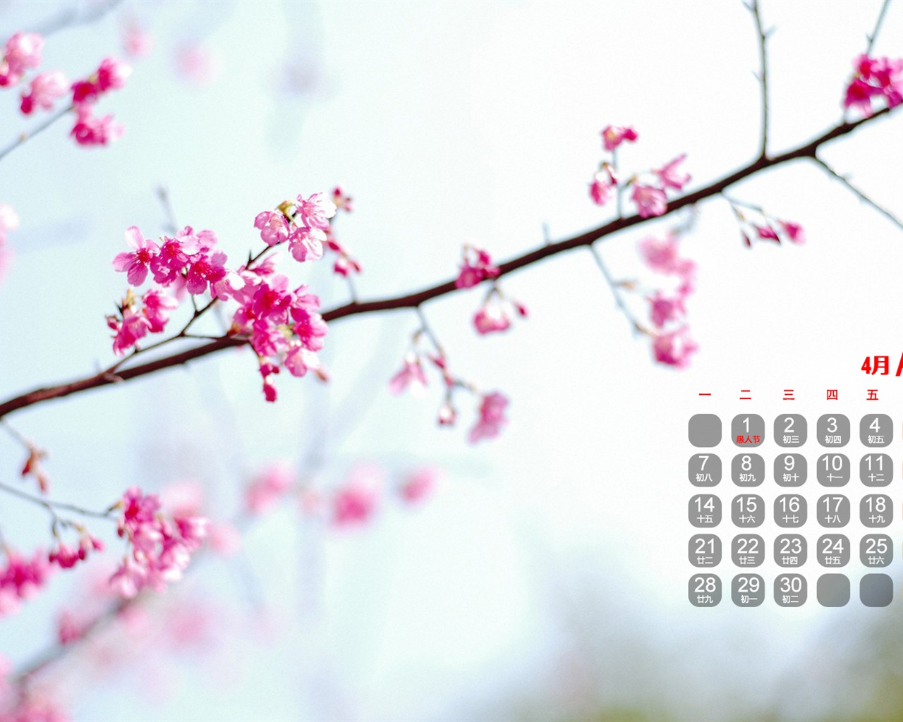 Avril 2014 calendriers fond d'écran (1) #4 - 1280x1024