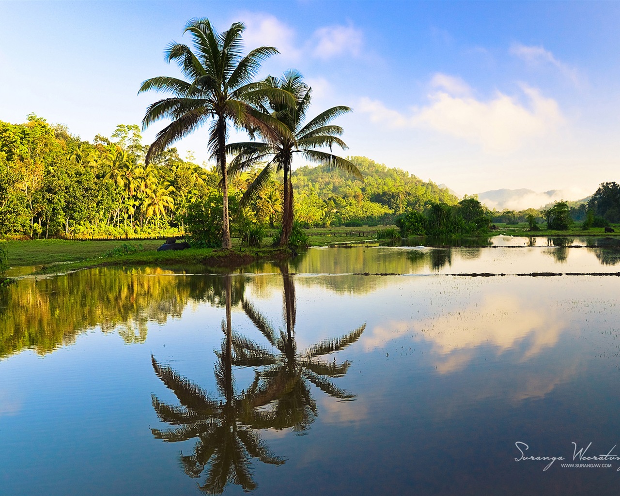 Sri Lanka Landschaftsstil, Windows 8 Theme Wallpaper #11 - 1280x1024