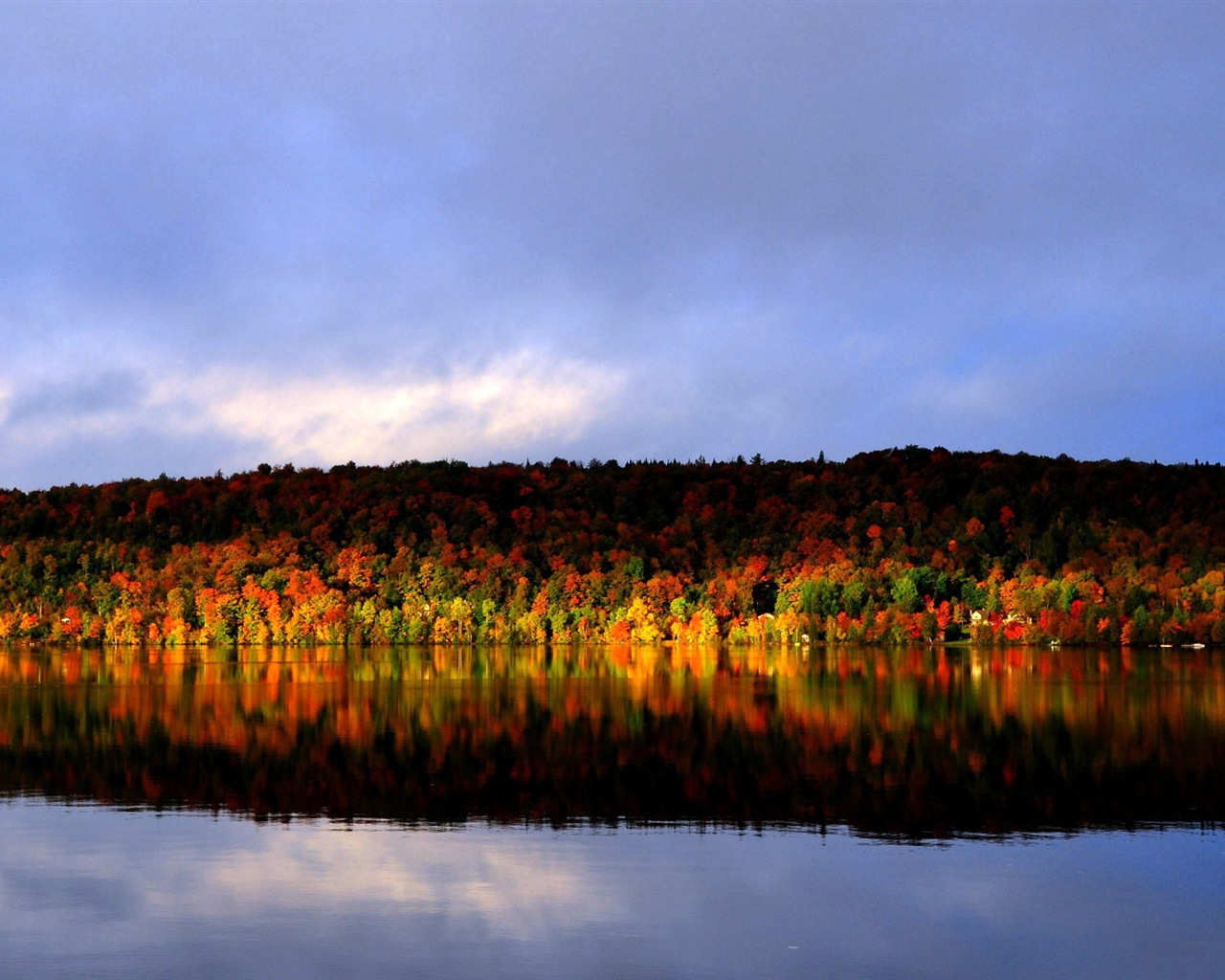 秋天的水和树 高清壁纸3 - 1280x1024