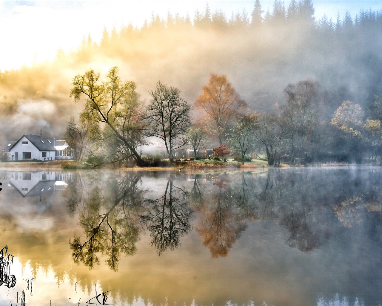 Foggy podzimní listí a stromy HD Tapety na plochu #5 - 1280x1024