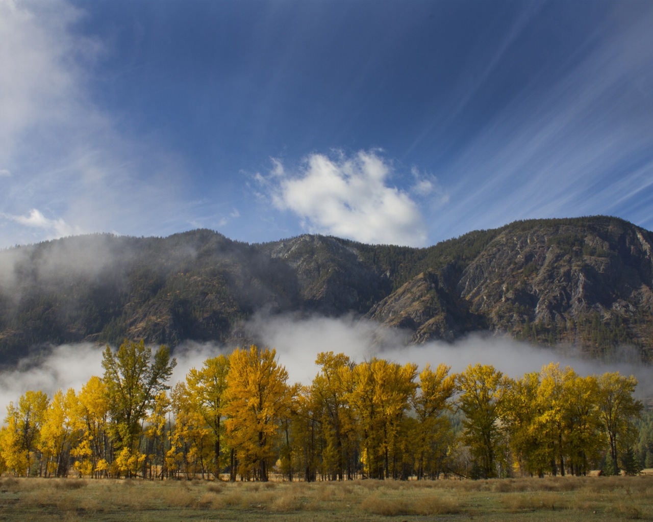 Foggy podzimní listí a stromy HD Tapety na plochu #9 - 1280x1024