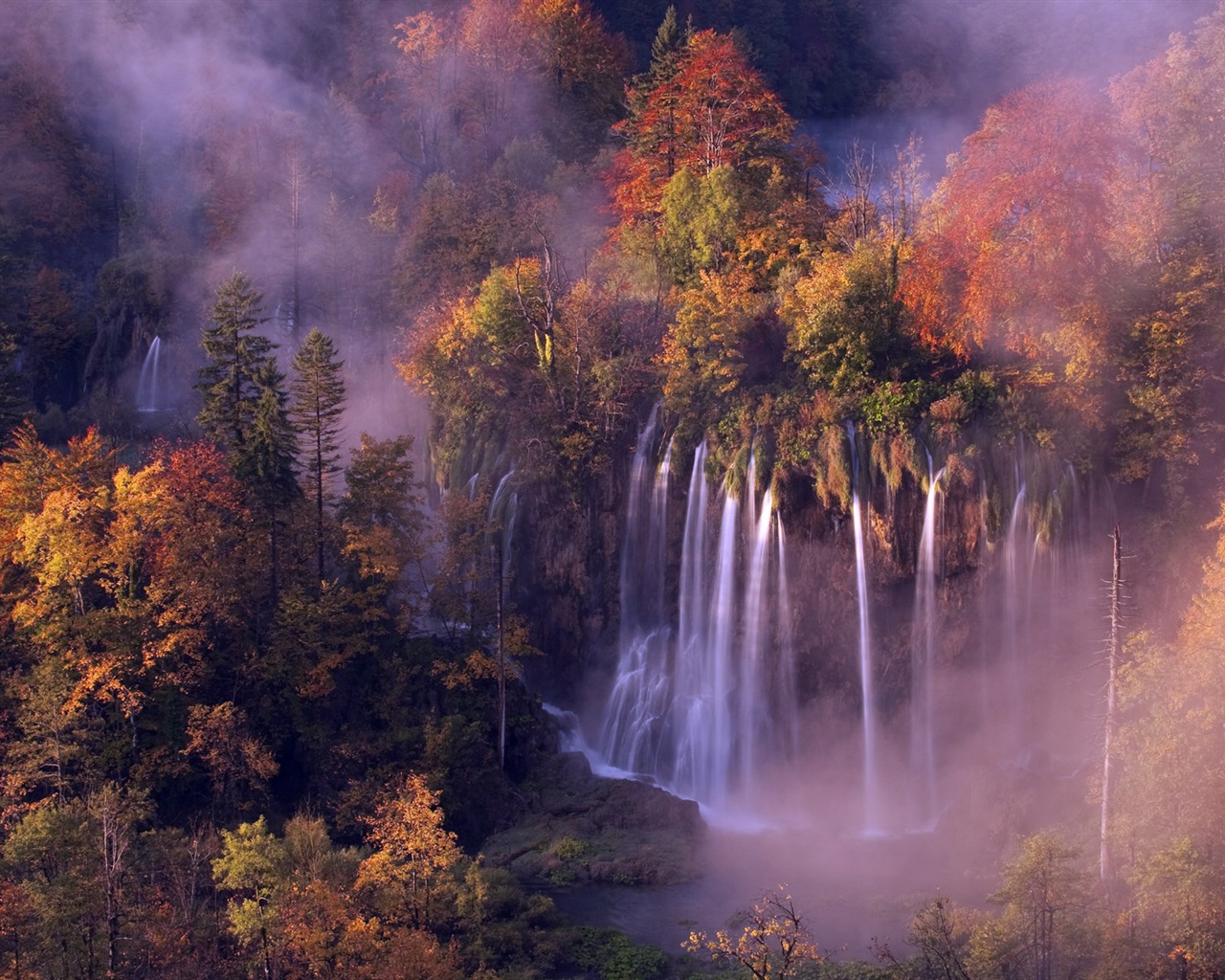 Foggy podzimní listí a stromy HD Tapety na plochu #11 - 1280x1024