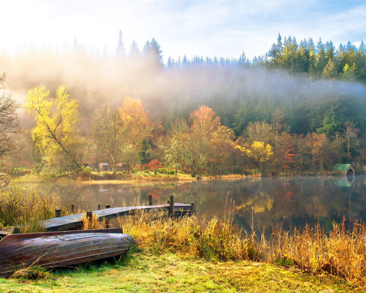 Foggy podzimní listí a stromy HD Tapety na plochu #14 - 1280x1024