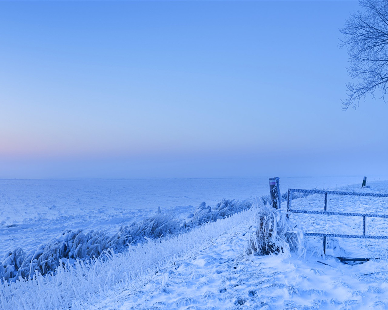 寒冷冬天美丽的雪景，Windows 8 全景宽屏壁纸2 - 1280x1024