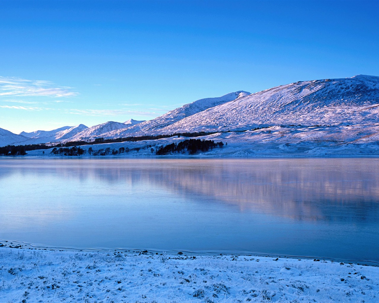寒冷冬天美丽的雪景，Windows 8 全景宽屏壁纸5 - 1280x1024