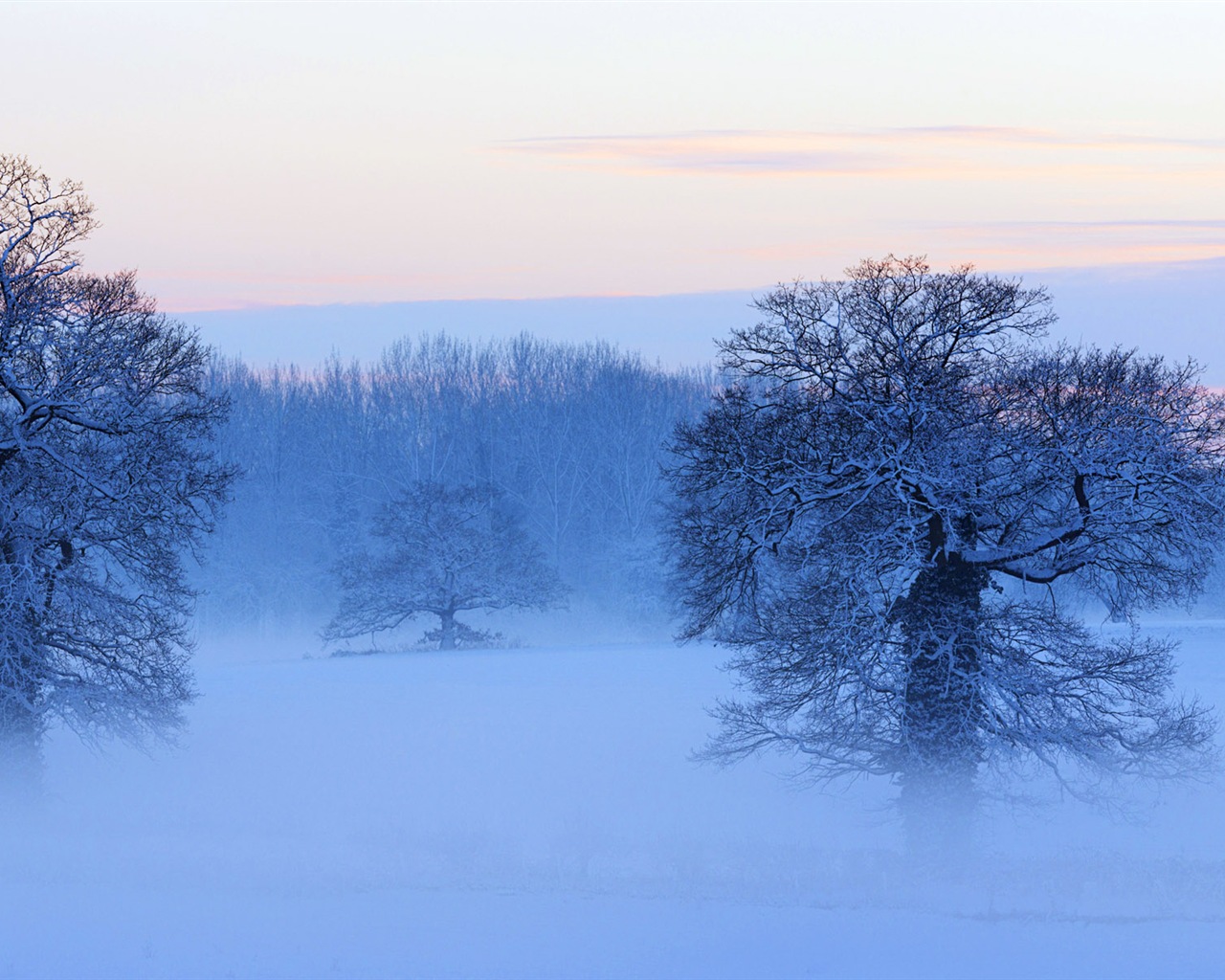 Красивая холодная зима снег, Windows 8 панорамные картинки на рабочий стол #6 - 1280x1024