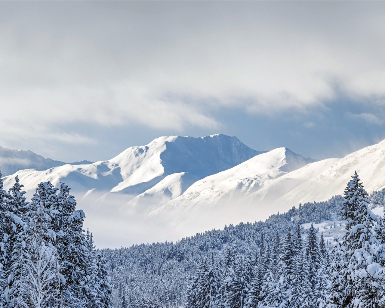 Krásná zima sníh, Windows 8 panoramatické, širokoúhlé tapety #9 - 1280x1024
