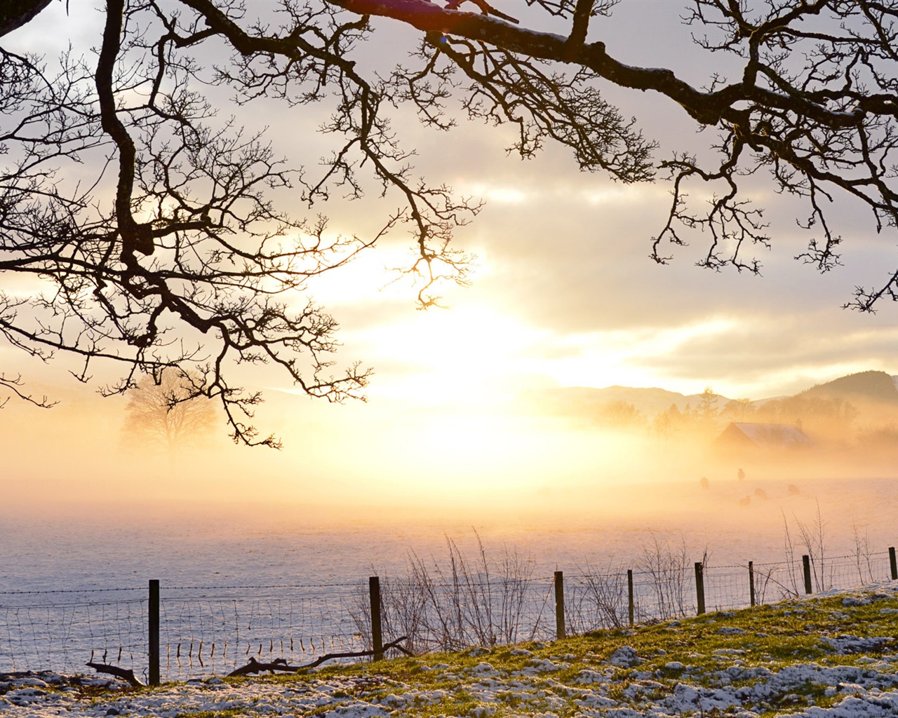 Schöne kalten Winter Schnee, Windows 8 Panorama-Widescreen-Wallpaper #11 - 1280x1024