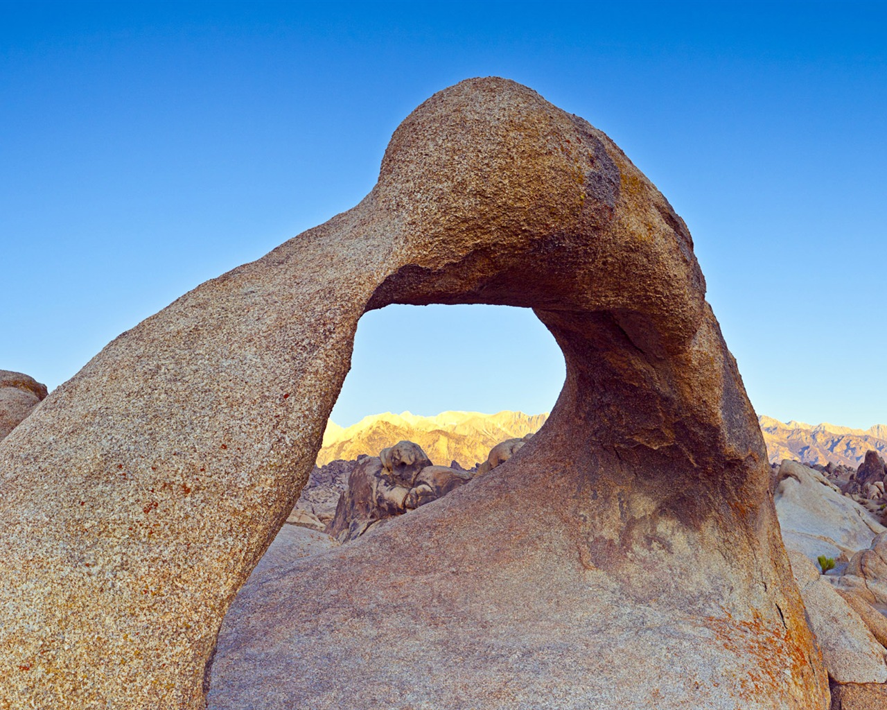 뜨겁고 건조한 사막, 윈도우 8 파노라마 와이드 스크린 배경 화면 #5 - 1280x1024