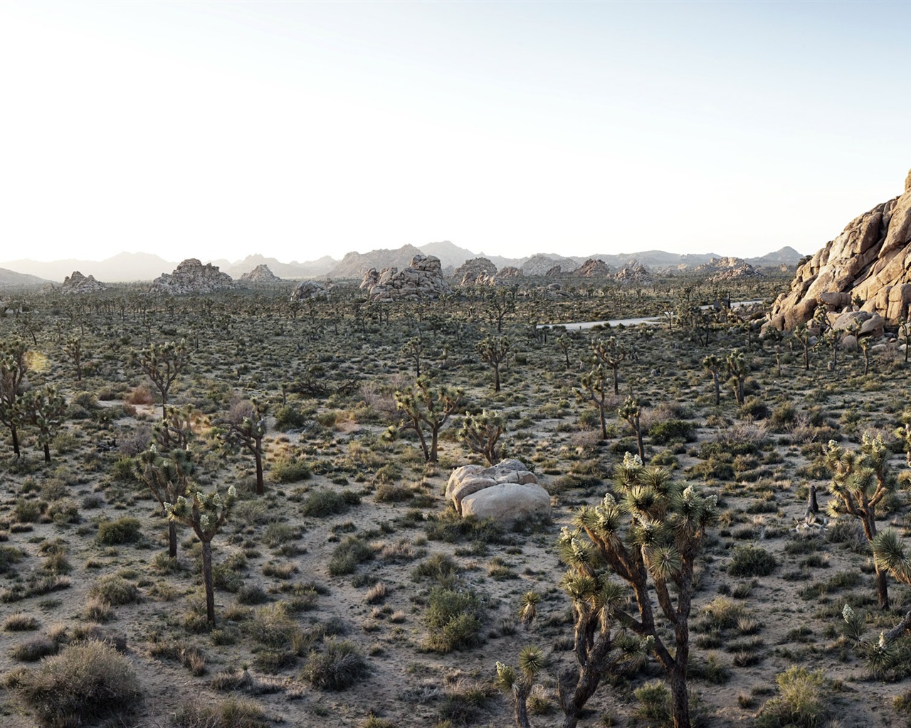 Горячие и засушливые пустыни, Windows 8 панорамные картинки на рабочий стол #9 - 1280x1024