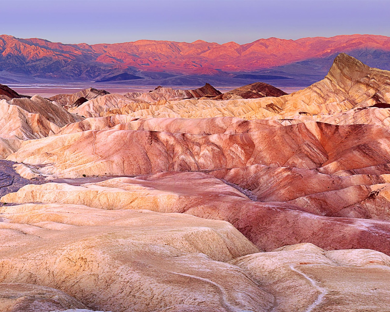 뜨겁고 건조한 사막, 윈도우 8 파노라마 와이드 스크린 배경 화면 #10 - 1280x1024